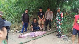 Warga Kecamatan Cibatu, Kabupaten Garut, digemparkan dengan penemuan sesosok mayat yang diduga hanyut di Sungai Cimanuk, Kamis (27/3/2025) pagi.