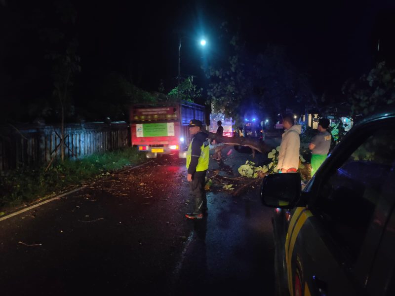 Hujan deras di sertai angin kencang mengakibatkan pohon tumbang di Jalan Raya Lintas Selatan, tepatnya di Kampung Rancapadu, Desa Cikelet, Kecamatan Cikelet, pada Sabtu dini hari. (29/3/2025).