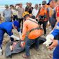 Sebuah penemuan mayat yang diduga korban kecelakaan laut terjadi pada hari Sabtu pagi sekitar pukul 09.30 WIB di Pantai Lemah Neundeut, Desa Karyasari, Kecamatan Cibalong, Kabupaten Garut. Penemuan ini pertama kali dilaporkan oleh sejumlah nelayan yang sedang memancing di kawasan tersebut.