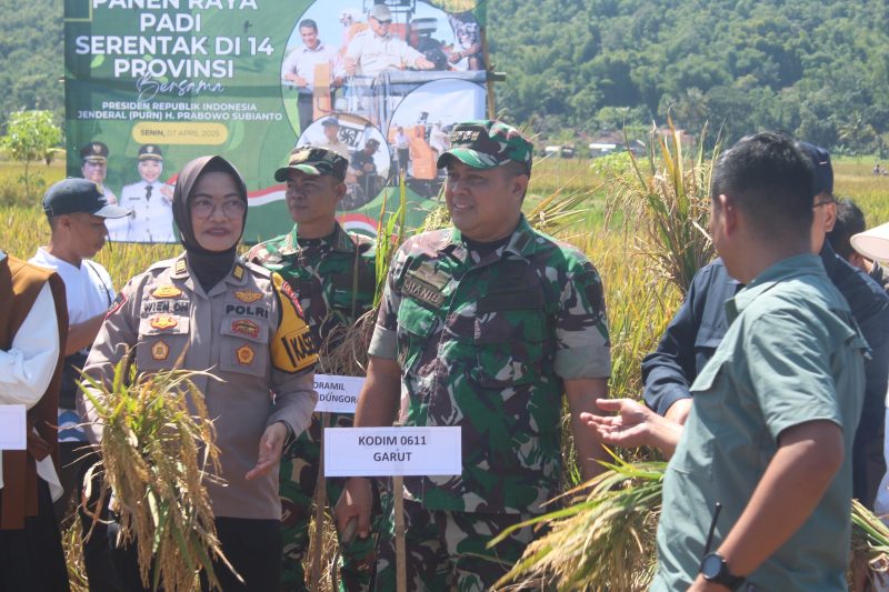 Kodim 0611/Garut bersama Forum Koordinasi Pimpinan Daerah (Forkopimda) melakukan panen raya padi serentak bersama daerah lain di 14 Provinsi di Indonesia, Senin (7/4/2025).