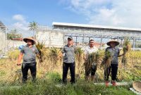 Lembaga Pemasyarakatan (Lapas) Kelas IIA Garut panen padi sebanyak 200 Kg.