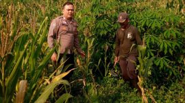 Polres Garut monitoring ketahanan pangan di Desa Girijaya