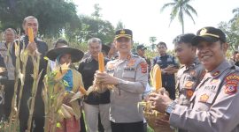 Kapolres Garut AKBP Mochamad Fajar Gemilang  saat panen raya jagung kuartal II