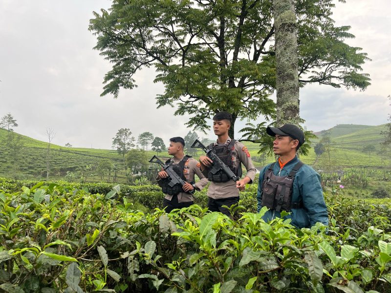 Patroli Presisi perkebunan teh PTPN
