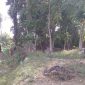 Foto:Situs bersejarah kondisi Makam Keramat 