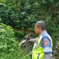 Foto: Sebuah truk terporosok di Kadungora