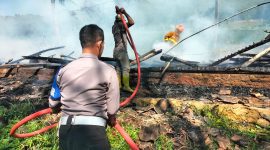 Peristiwa kebakaran melanda sebuah kandang ayam berukuran 9 x 30 meter di Kampung Sawah Lega RT 01 RW 01, Desa Putrajawa, Kecamatan Selaawi, Kabupaten Garut, pada Minggu (20/7/2025) sekitar pukul 09.00 WIB.
