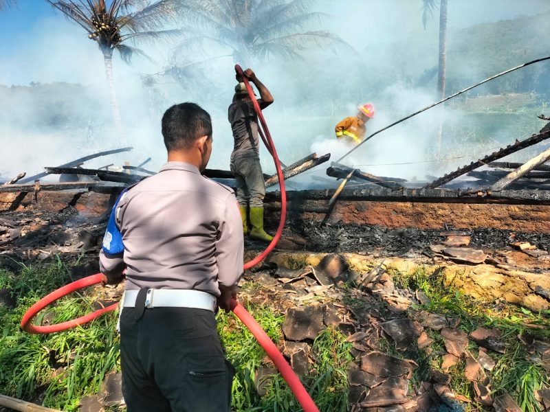 Peristiwa kebakaran melanda sebuah kandang ayam berukuran 9 x 30 meter di Kampung Sawah Lega RT 01 RW 01, Desa Putrajawa, Kecamatan Selaawi, Kabupaten Garut, pada Minggu (20/7/2025) sekitar pukul 09.00 WIB.