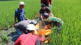 Seorang pria ditemukan meninggal dunia di pematang sawah wilayah Kampung Maleer RT 02 RW 14, Desa Sukasenang, Kecamatan Banyuresmi, Kabupaten Garut, Senin (21/7), sekitar pukul 11.00 WIB.