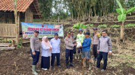 Polres Garut bersama Polsek jajaran melaksanakan monitoring dan peninjauan langsung ke lahan pertanian jagung milik masyarakat di wilayah Kabupaten Garut. Kegiatan ini merupakan bentuk dukungan Polri terhadap program Ketahanan Pangan Nasional yang dicanangkan pemerintah. Kamis (21/8/2025).