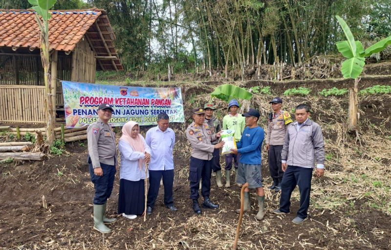 Polres Garut bersama Polsek jajaran melaksanakan monitoring dan peninjauan langsung ke lahan pertanian jagung milik masyarakat di wilayah Kabupaten Garut. Kegiatan ini merupakan bentuk dukungan Polri terhadap program Ketahanan Pangan Nasional yang dicanangkan pemerintah. Kamis (21/8/2025).