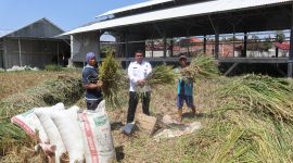 Teriknya matahari siang itu tak menyurutkan semangat tiga Warga Binaan Pemasyarakatan (WBP) Lapas Kelas IIA Garut.