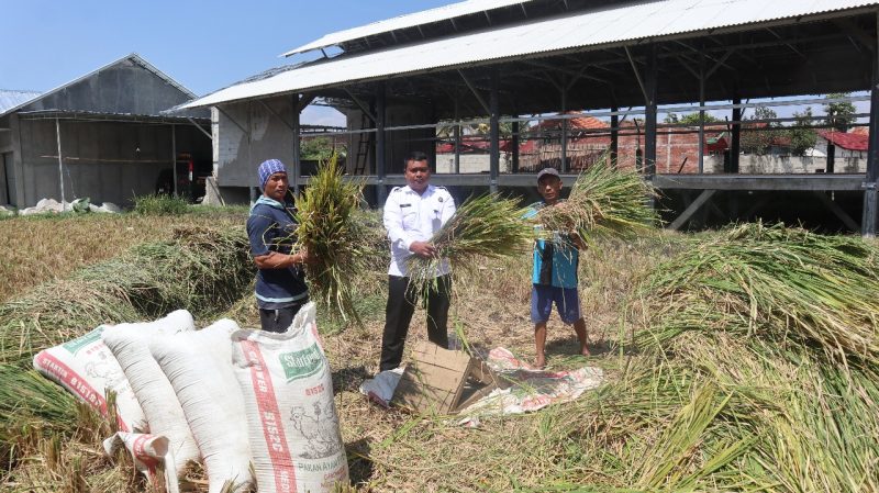 Teriknya matahari siang itu tak menyurutkan semangat tiga Warga Binaan Pemasyarakatan (WBP) Lapas Kelas IIA Garut.