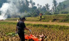 Polisi dan INAFIS Bergerak Cepat Usai Penemuan Mayat Pria Tanpa Identitas di Malangbong